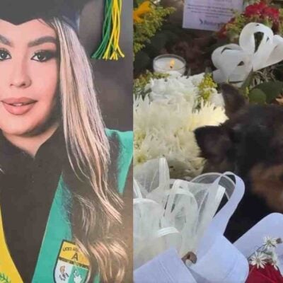 El video de la mascota que llora la muerte de su dueña tras el accidente del bus en Antioquia