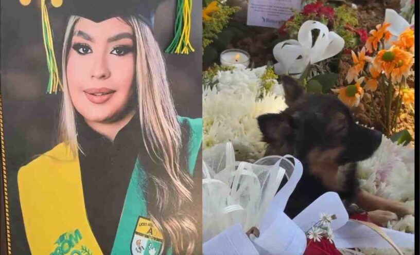 El video de la mascota que llora la muerte de su dueña tras el accidente del bus en Antioquia