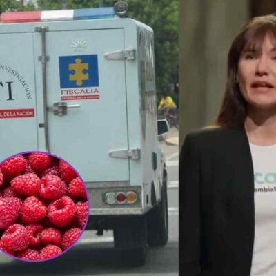 cómo el talio habría llegado a las frambuesas