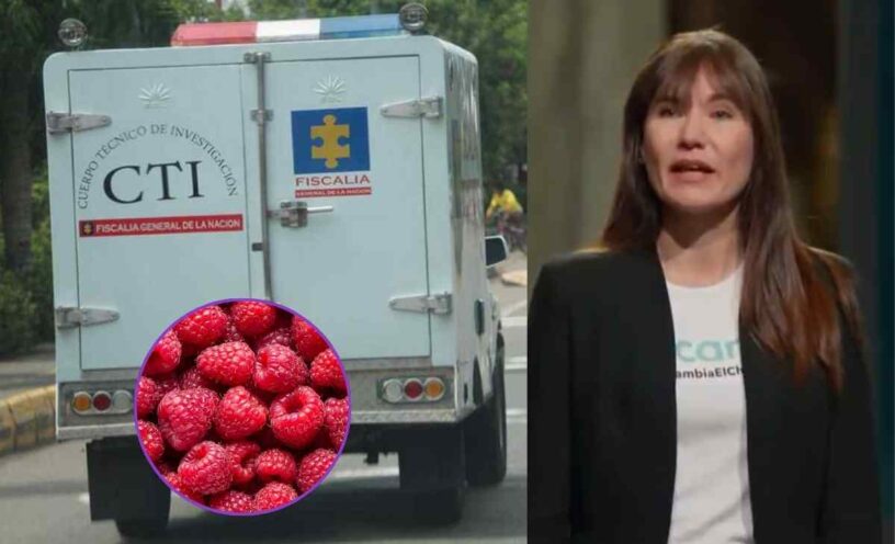 cómo el talio habría llegado a las frambuesas