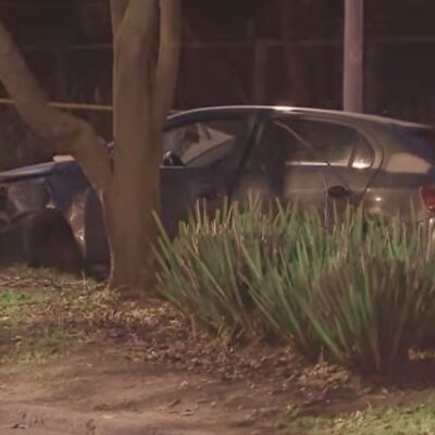 razón del accidente del jardín botánico