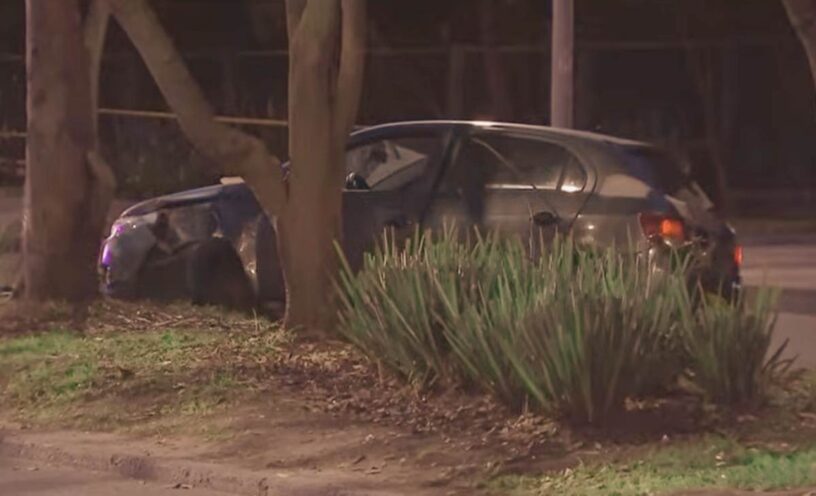 razón del accidente del jardín botánico