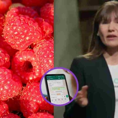 mensajes que presuntamente Zulma Guzmán habría enviado al padre de la menor envenenada