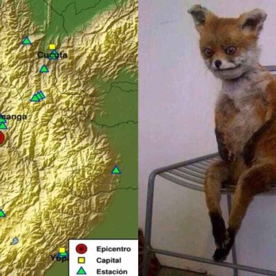 Los mejores memes del temblor de este 10 de diciembre