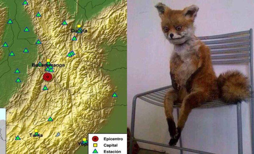 Los mejores memes del temblor de este 10 de diciembre