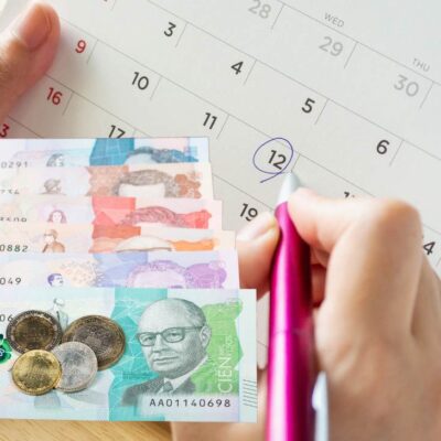 valor días trabajo salario mínimo