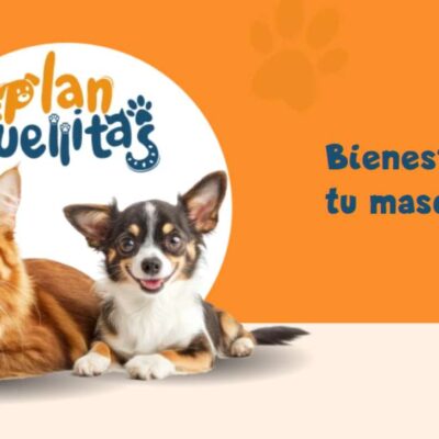 ¿Qué es el "Plan Huellitas" y qué servicios ofrece?