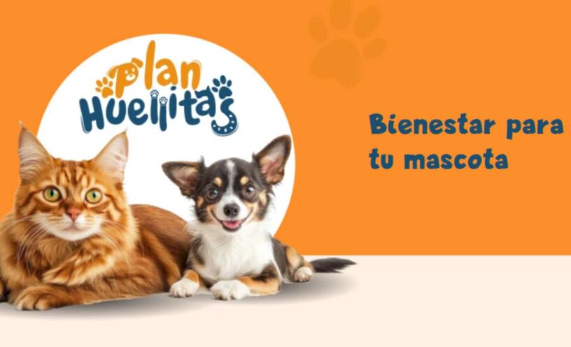 ¿Qué es el "Plan Huellitas" y qué servicios ofrece?