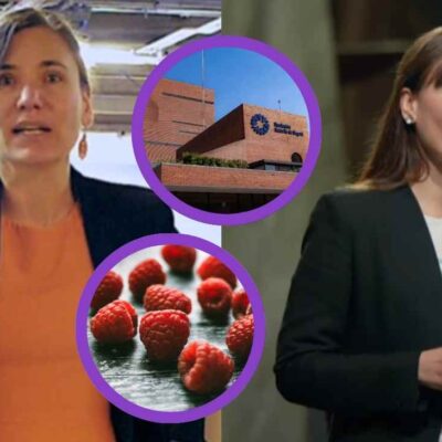 ¿Qué pistas tuvo en cuenta la Fiscalía para responsabilizar a Zulma Guzmán en el caso de las 2 niñas envenenadas?