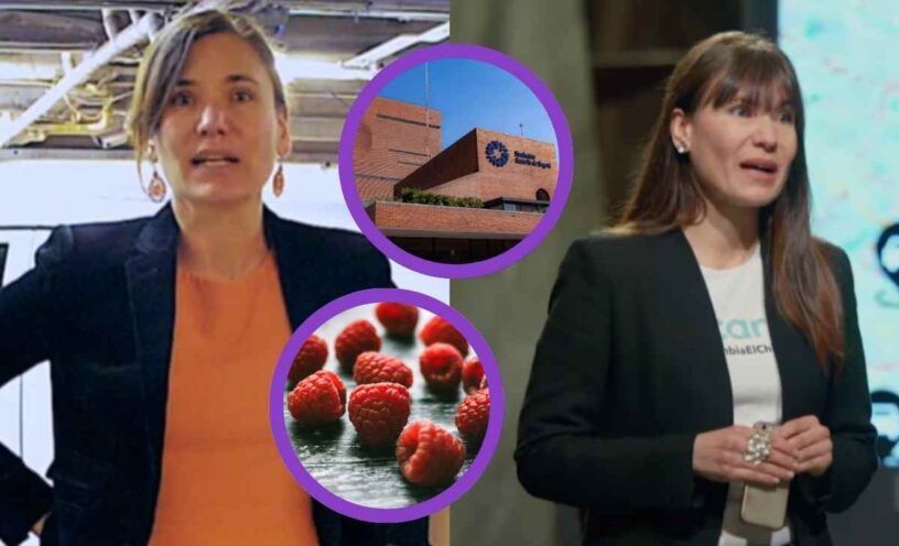 ¿Qué pistas tuvo en cuenta la Fiscalía para responsabilizar a Zulma Guzmán en el caso de las 2 niñas envenenadas?