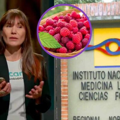Medicina legal dio nuevo informe y detalles sobre el caso de las niñas envenenadas con frambuesas con Talio