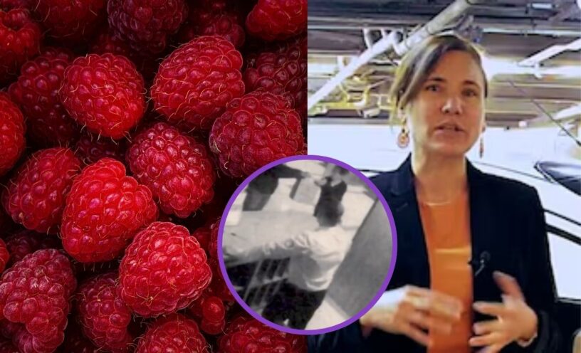 Revelaron video del domiciliario que entregó las frambuesas envenenadas con Talio