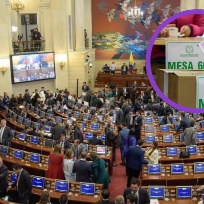 ¿Cuáles fueron los famosos e influencers que lograron una curul en el Congreso y quienes se "quemaron"?