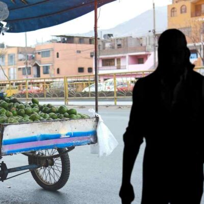 galán de novela ahora trabaja en cultivo de aguacate