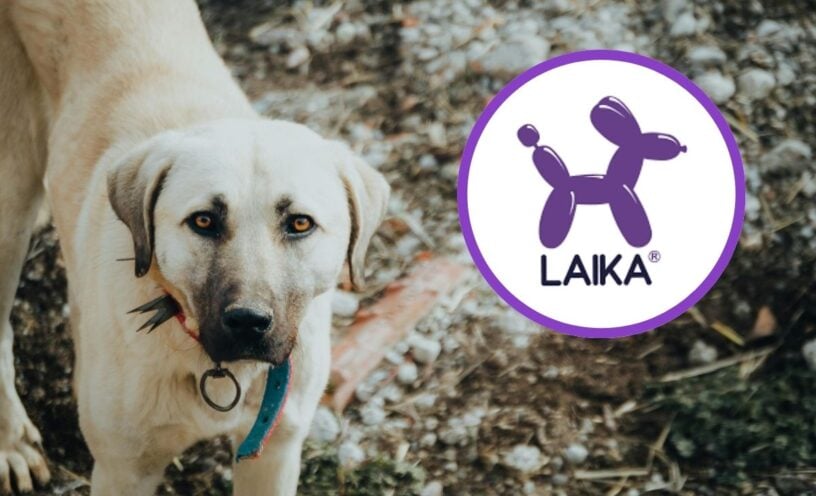 LAIKA lanzó esta campaña solidaria