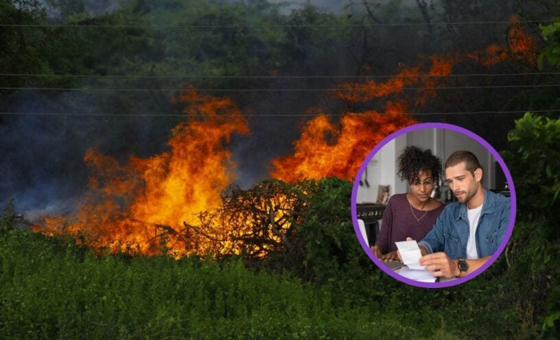 Provocar un incendio forestal en Colombia podría costarle una fortuna