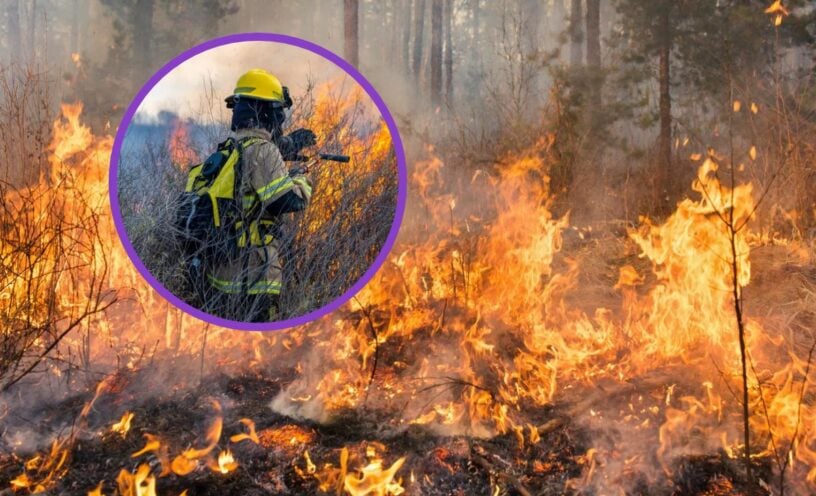 Colombia bajo alerta por incendios forestales: ¿dónde continúan las emergencias?