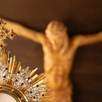 ¿Quién reemplazaría al papa León XIV si no pudiera cumplir sus funciones? Esto se sabe