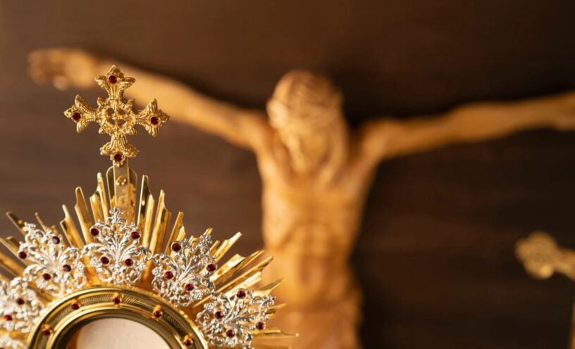 ¿Quién reemplazaría al papa León XIV si no pudiera cumplir sus funciones? Esto se sabe
